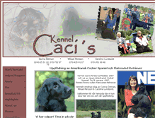 Tablet Screenshot of cacis.se